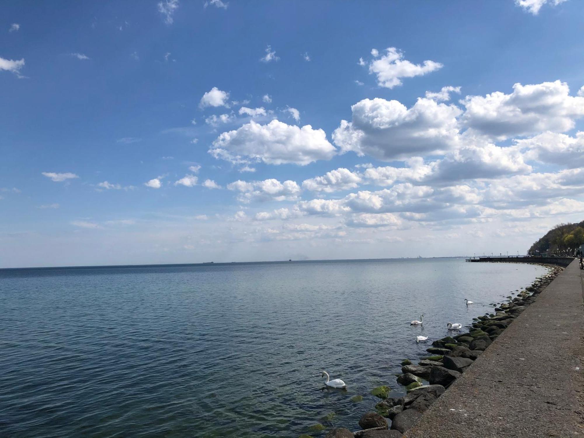 Gdynia Kamienna Gora Daire Dış mekan fotoğraf